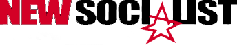 The New Socialist Group Website